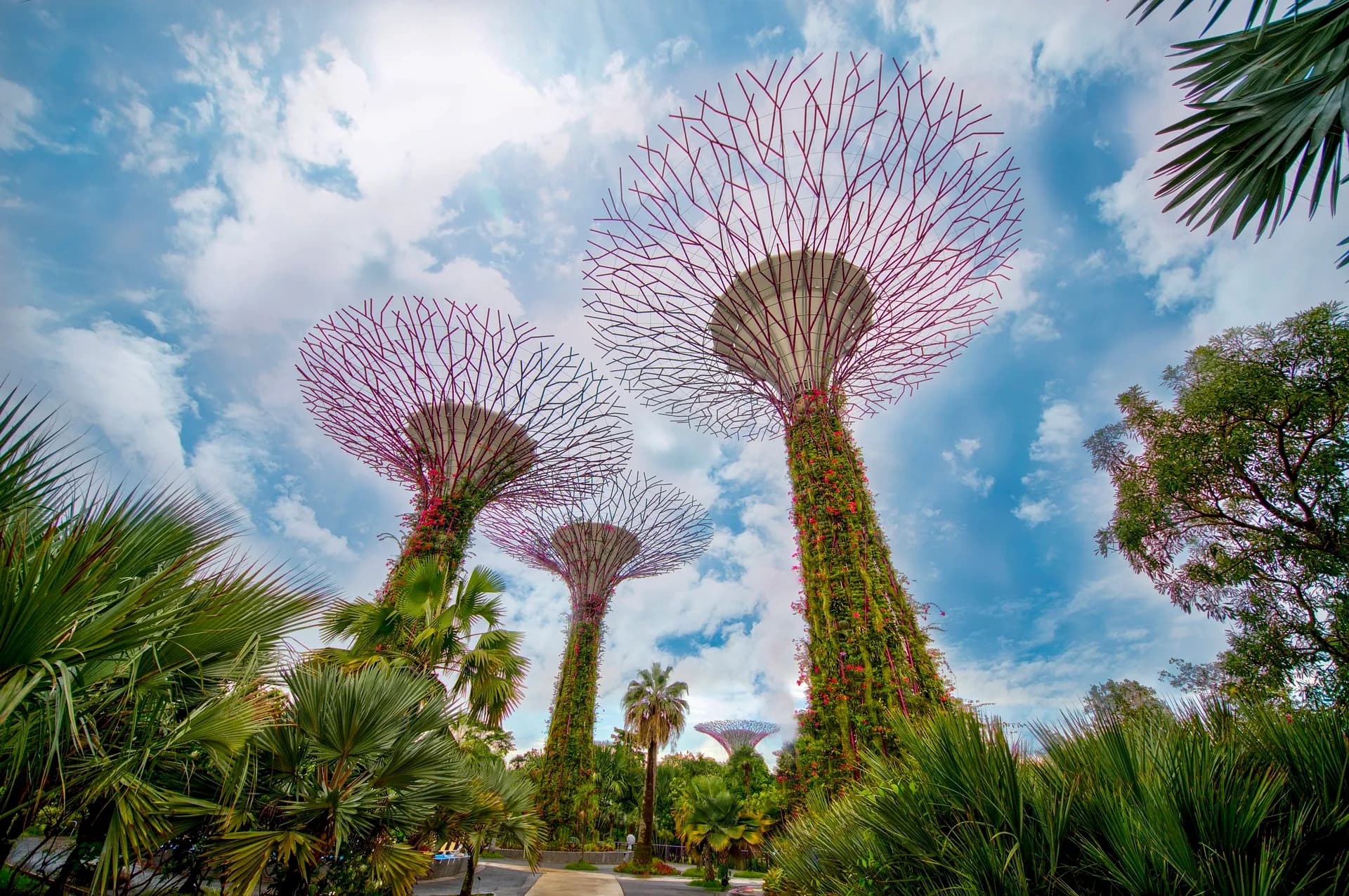 Supertrees in den Gardens by the Bay, Singapur