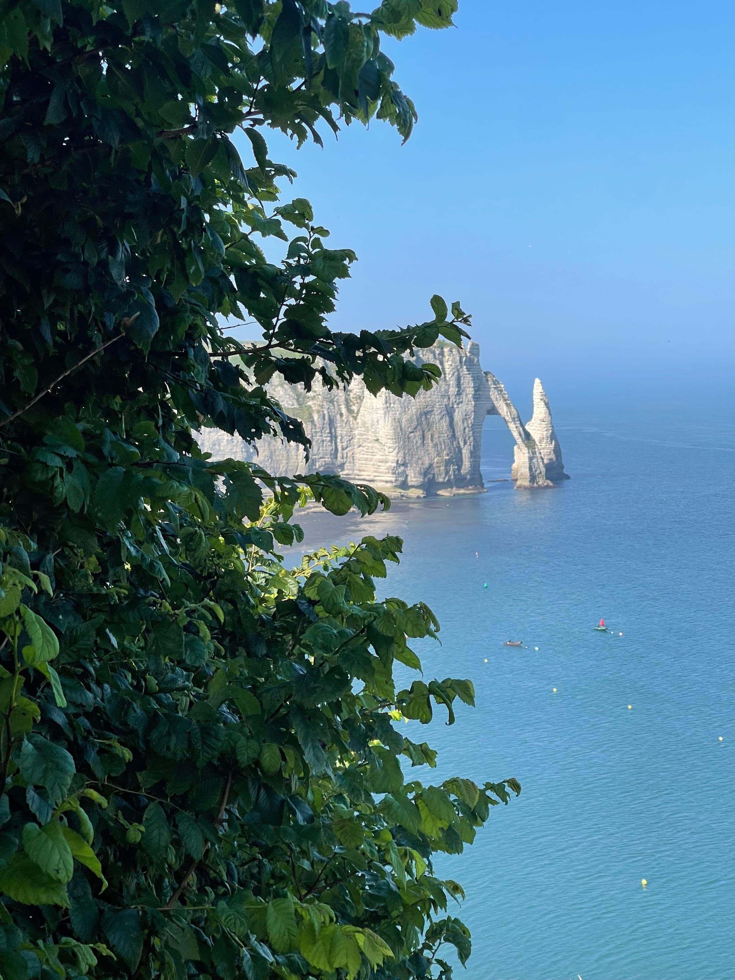 The cliffs of Étretat seen through the trees