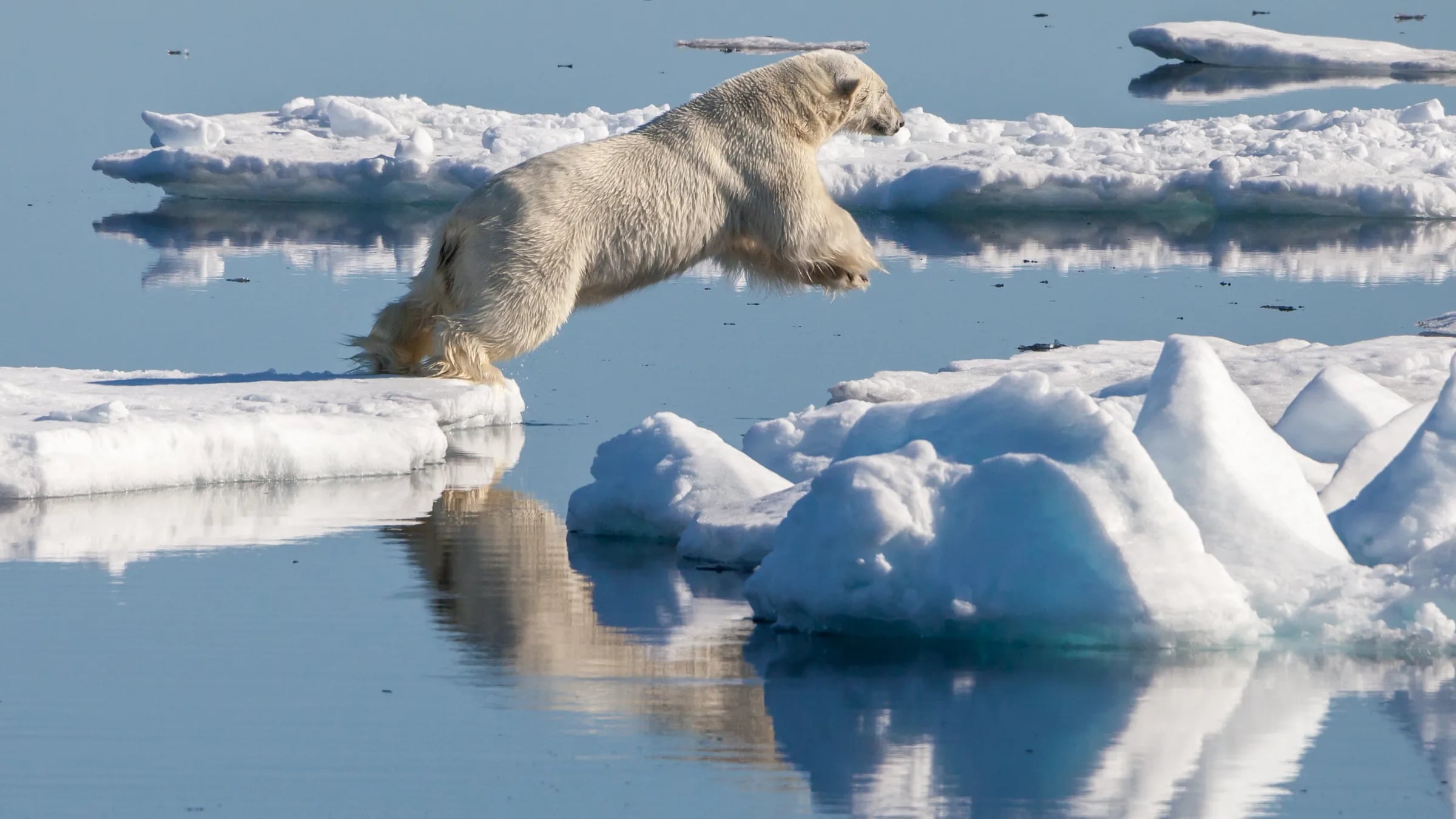 Circumnavigation of Spitsbergen – Programme - Image 2