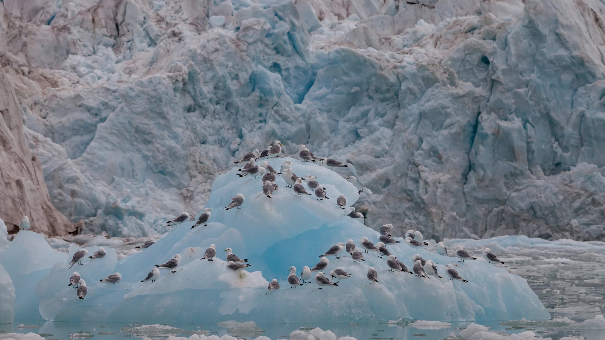 Umrundung von Spitzbergen – Programm - Bild 4