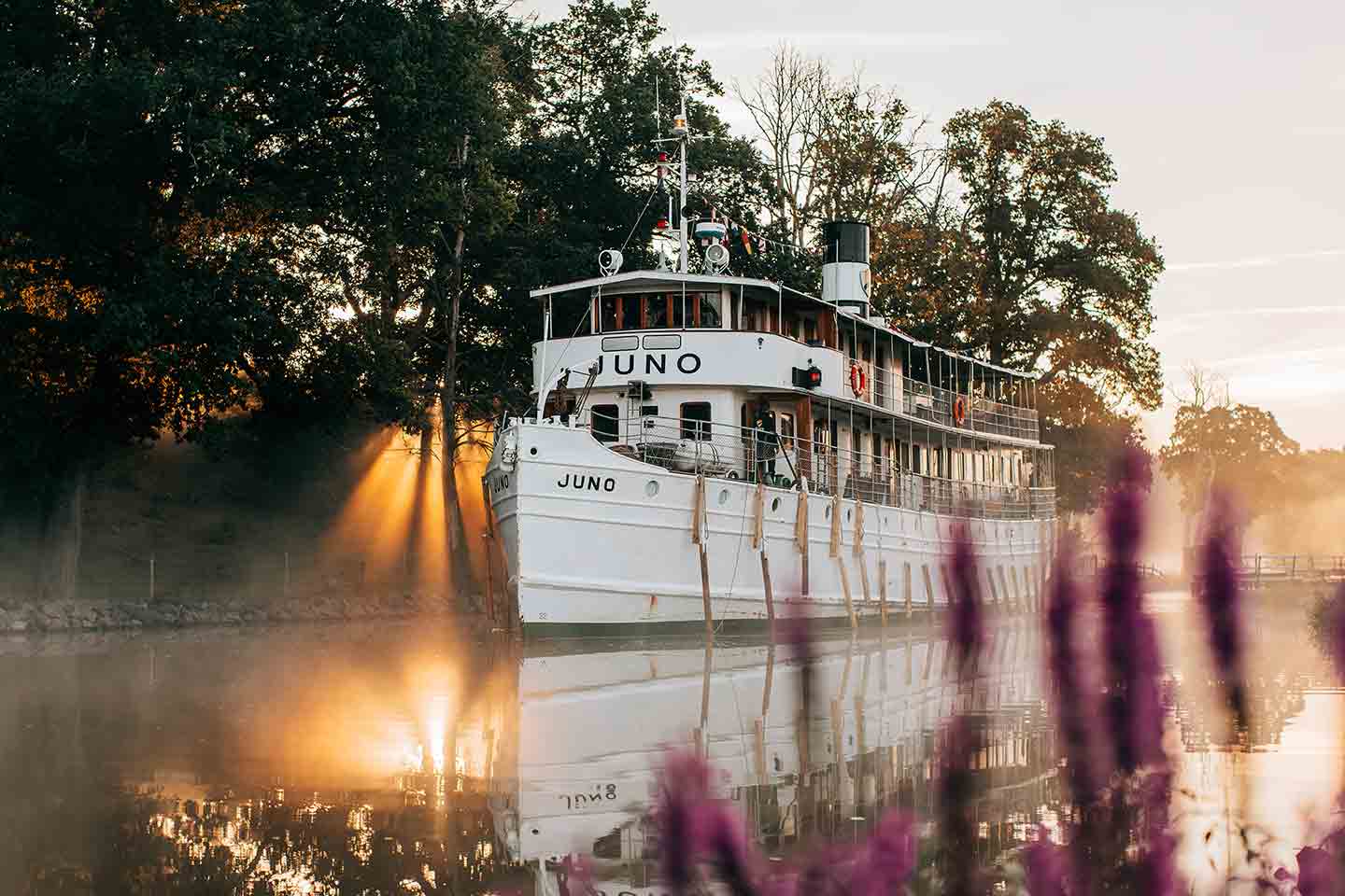 M/S Juno - Bild 1
