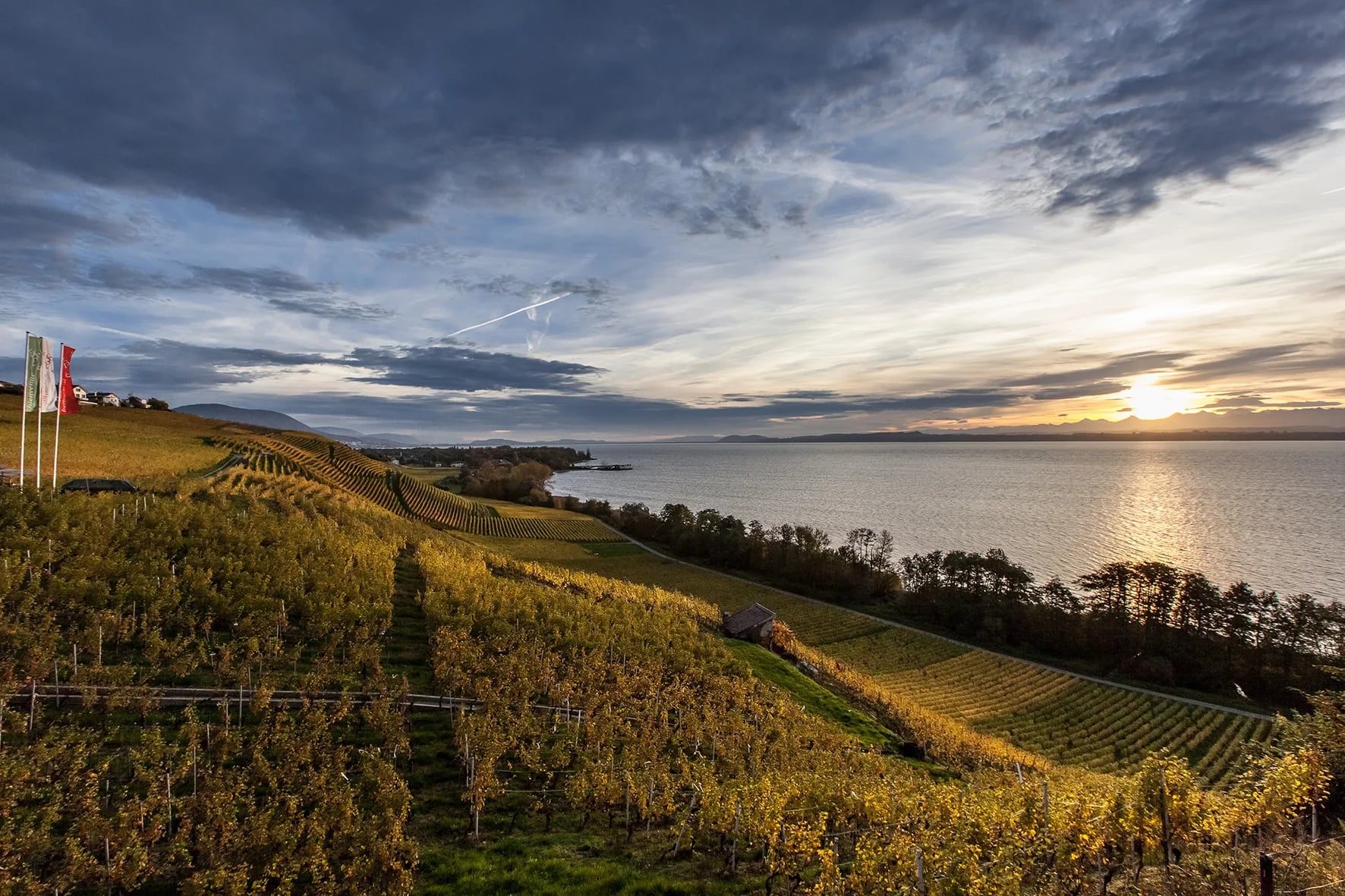 Wine Cruise · Winzerfest Neuenburg