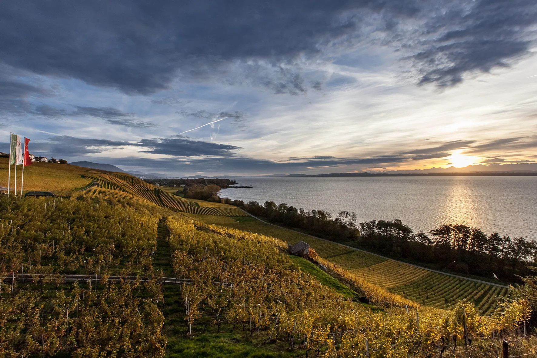 Wine Cruise · Ligerzer Läset 3